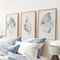 Trendy Nautical Wall Art Set of 3. Seashell and Fishes Posters