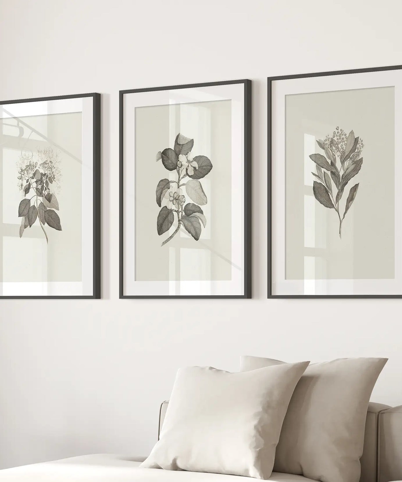 Antique Floral Prints 3 Piece Wall Art Decor