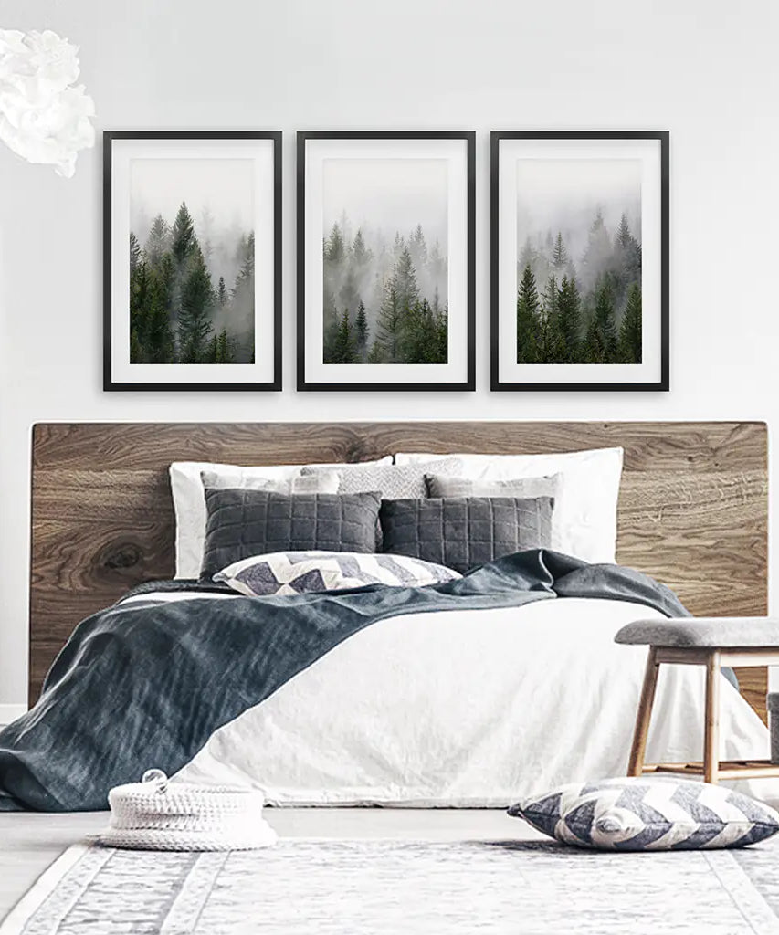 Green Pine Tree Forest. Foggy Nature Wall Art Prints