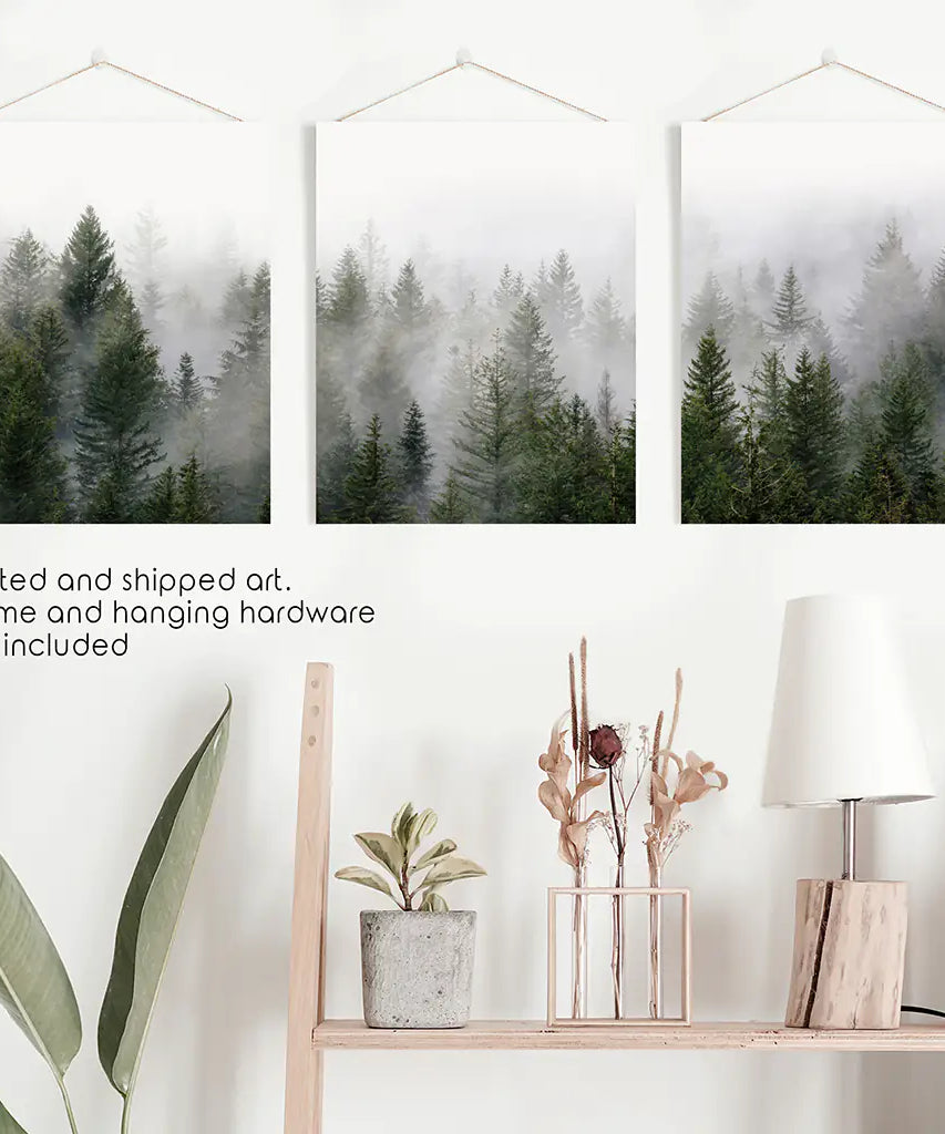 Green Pine Tree Forest. Foggy Nature Wall Art Prints