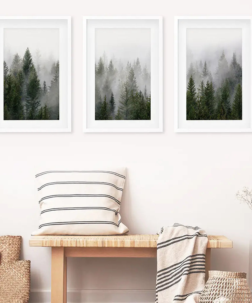 Green Pine Tree Forest. Foggy Nature Wall Art Prints