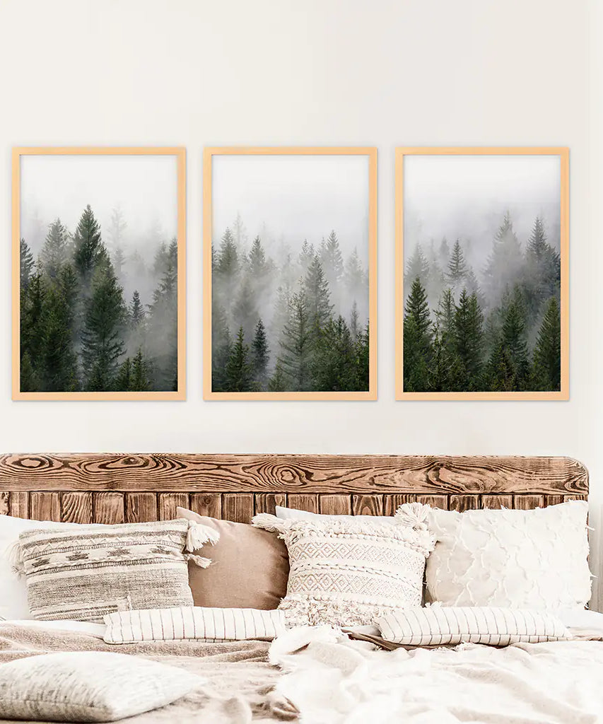 Green Pine Tree Forest. Foggy Nature Wall Art Prints