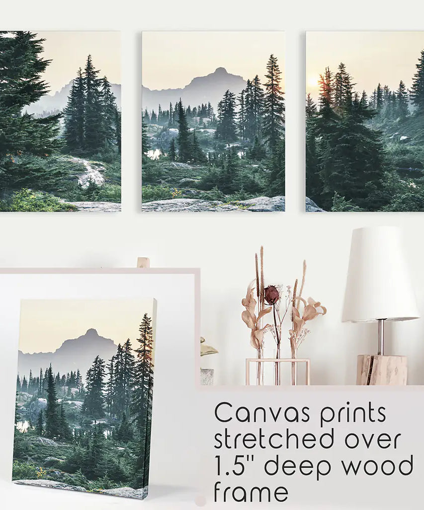 Mountain Forest. USA Wilderness Wall Art Set. Rampart Ridge