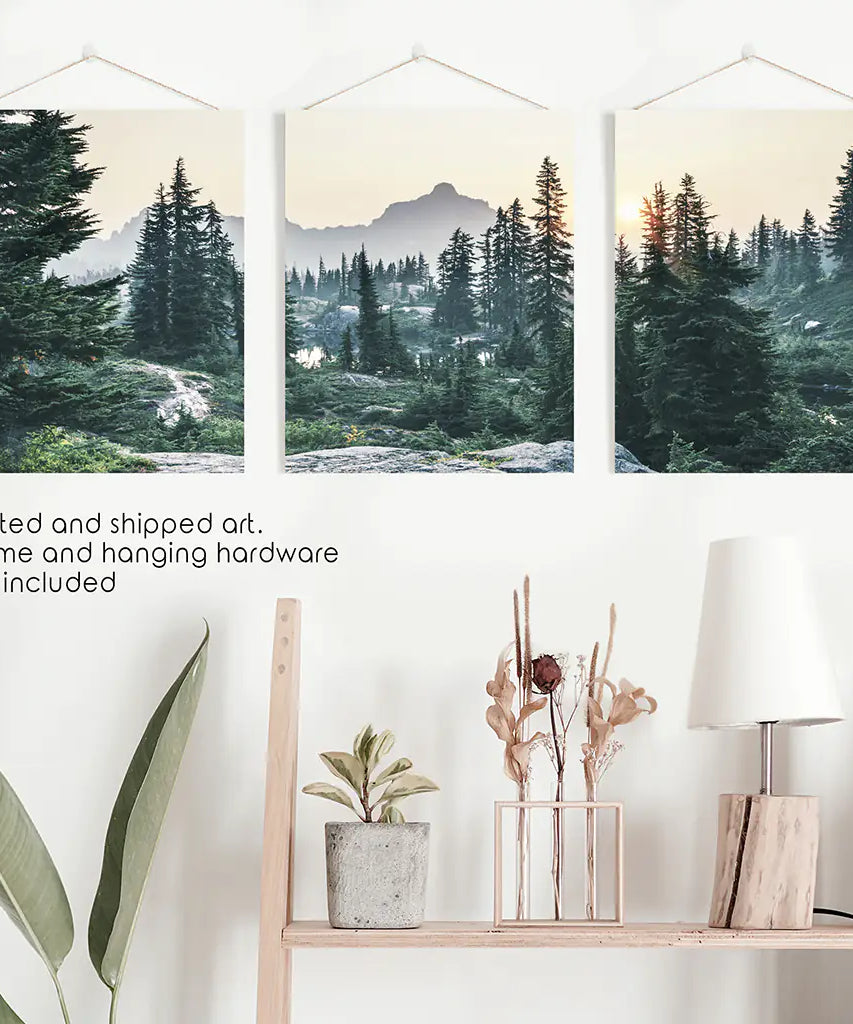 Mountain Forest. USA Wilderness Wall Art Set. Rampart Ridge