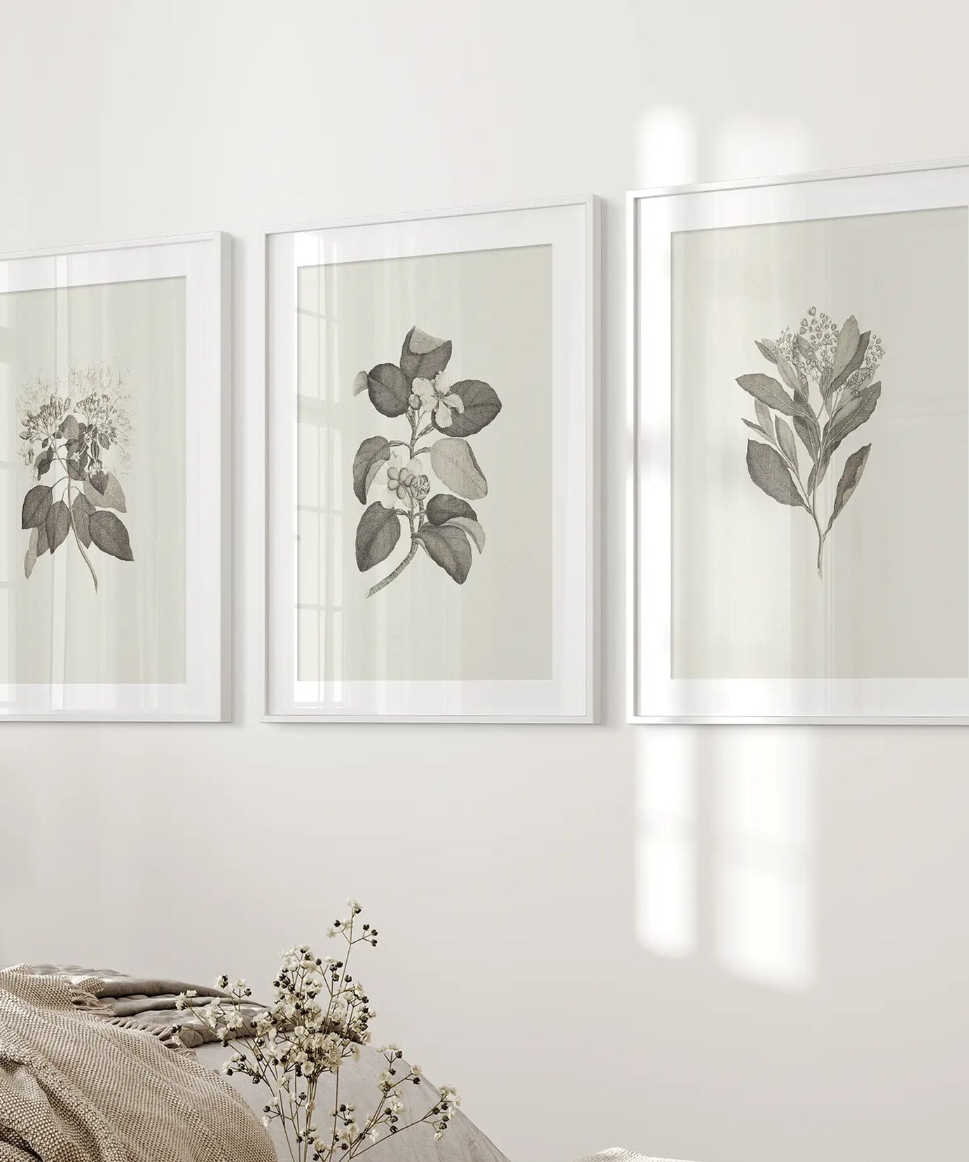 Antique Floral Prints 3 Piece Wall Art Decor