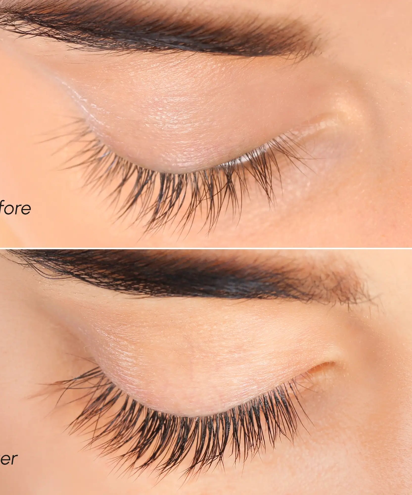 Lash & Brow Growth Serum