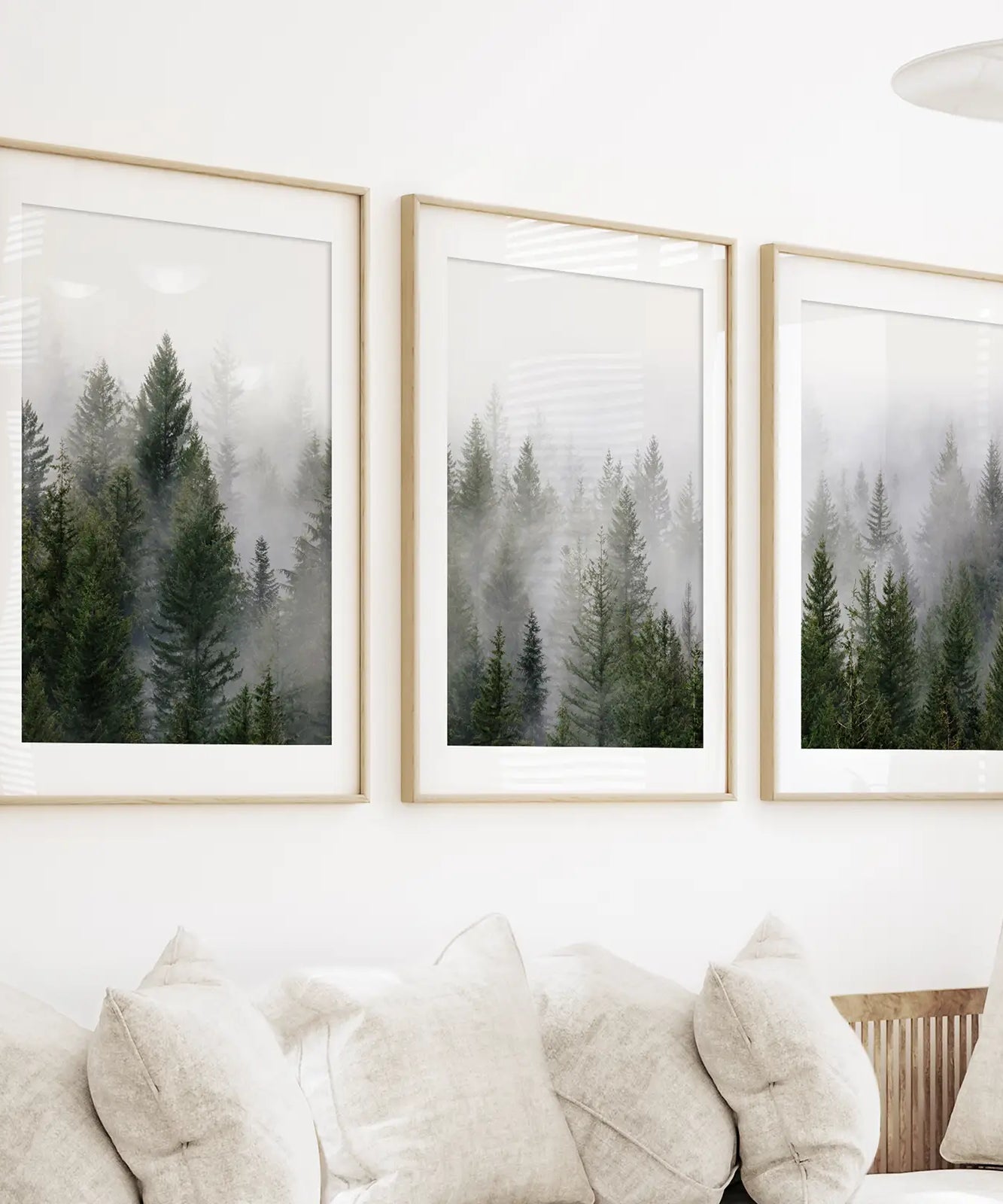 Green Pine Tree Forest. Foggy Nature Wall Art Prints