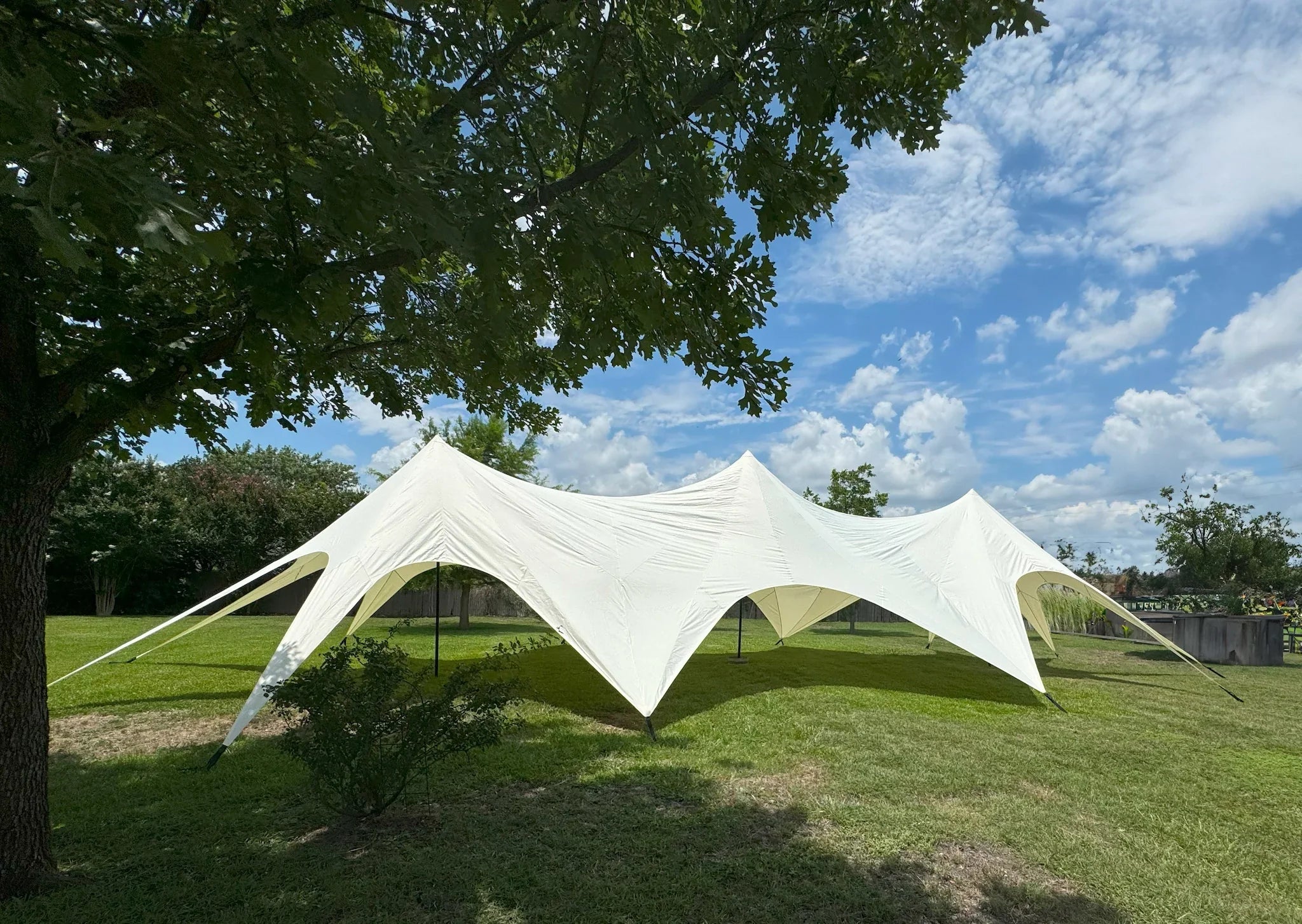 Star Cluster Canopy