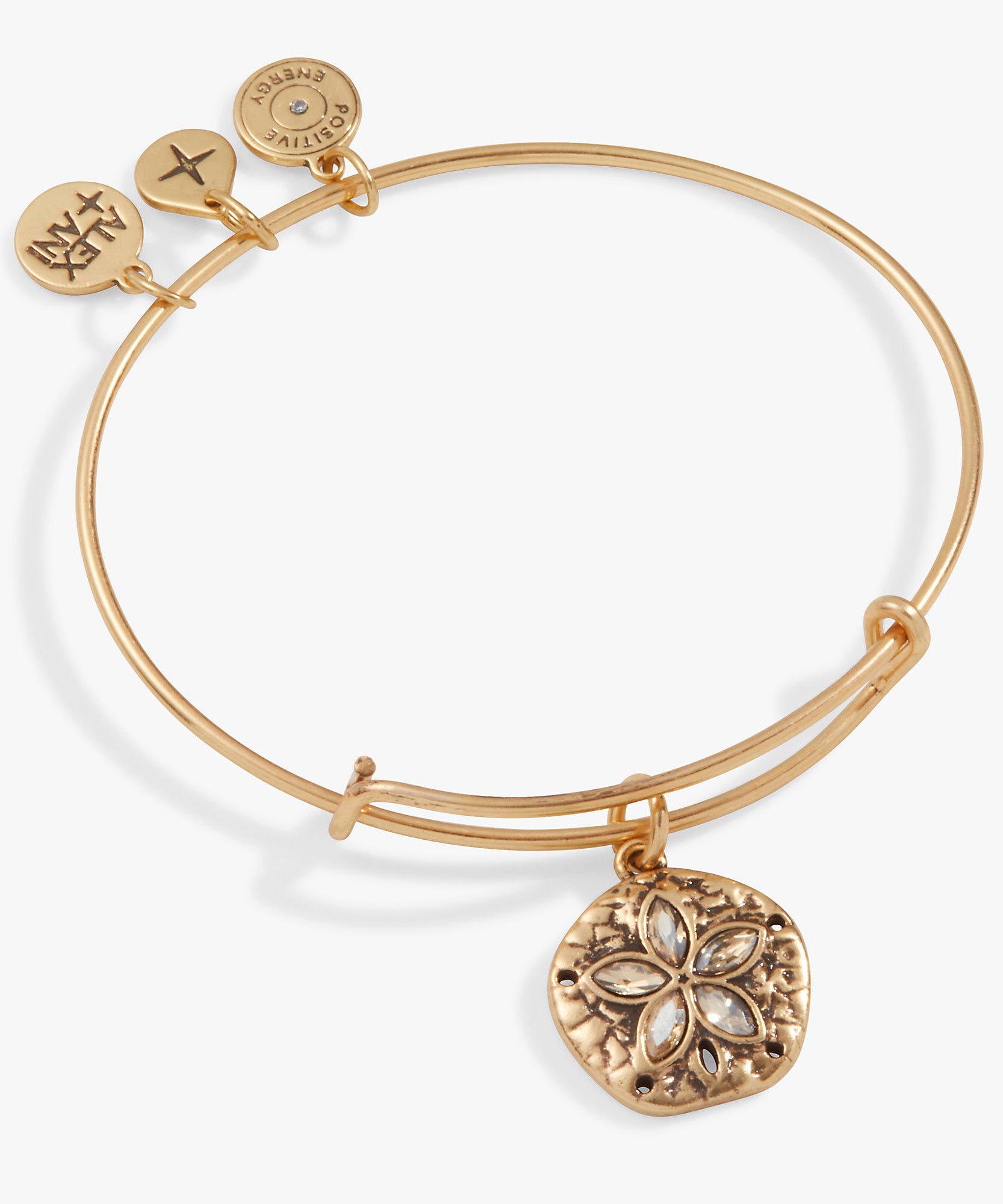 Sand Dollar Charm Bangle