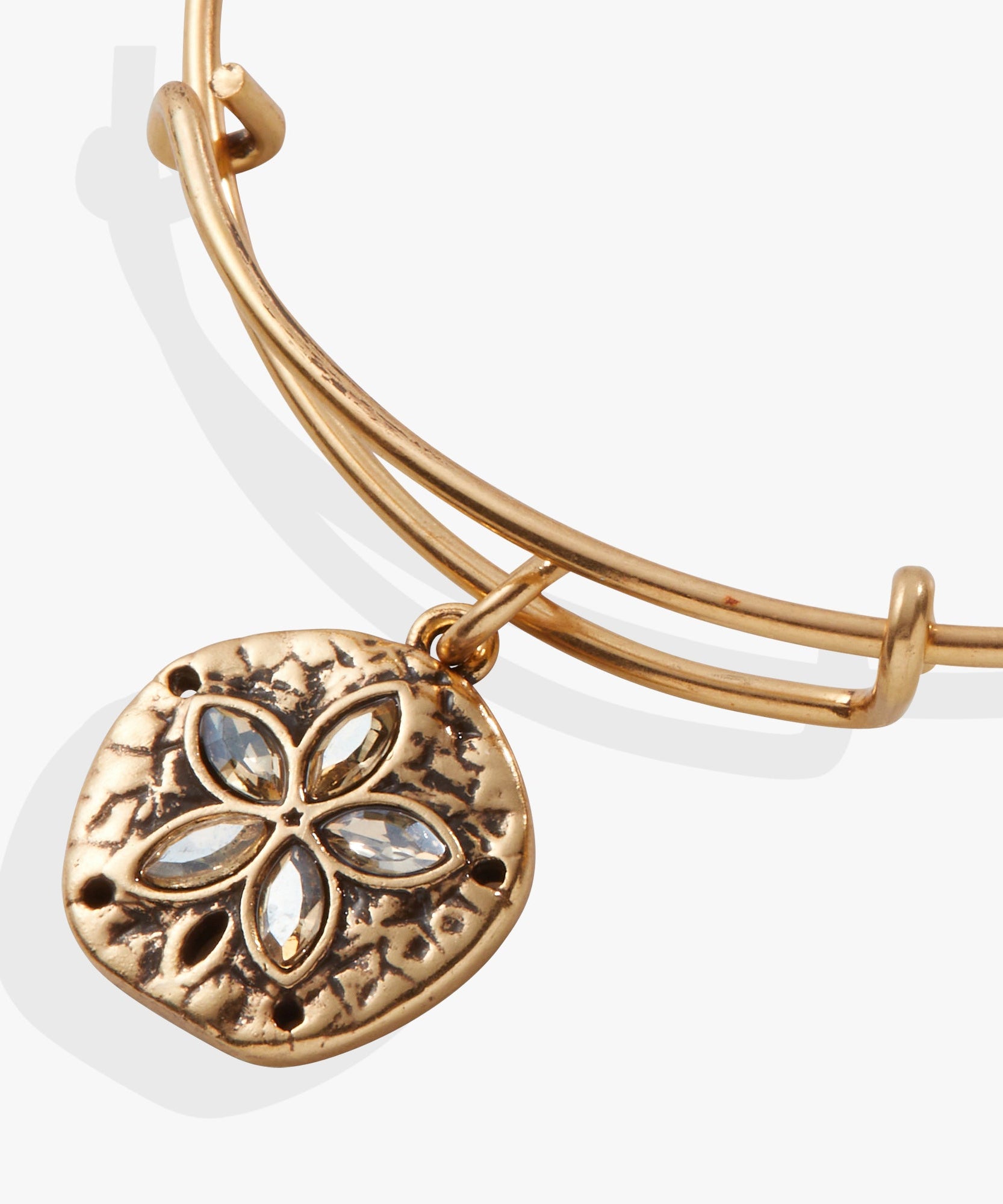Sand Dollar Charm Bangle