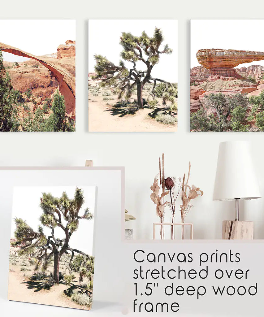 US Wüsten-Wandkunst. Arches-Nationalpark, Klippe, Joshua Tree