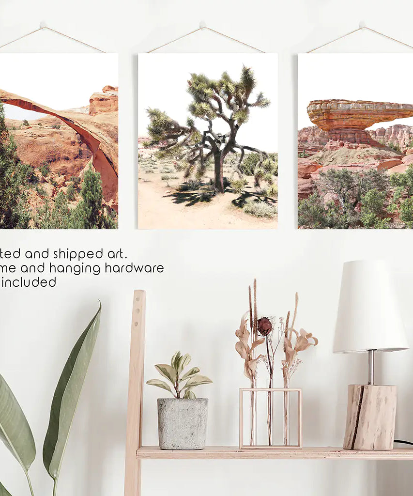 US Wüsten-Wandkunst. Arches-Nationalpark, Klippe, Joshua Tree