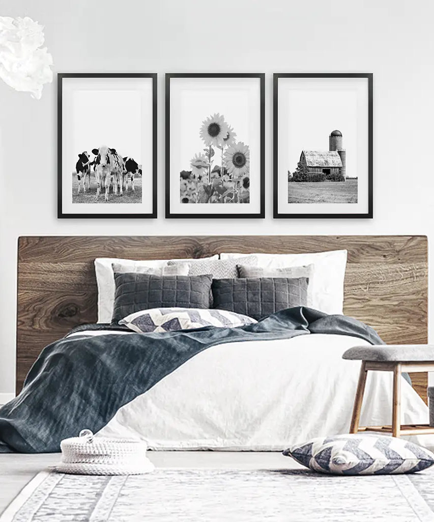 Rustic Black White Wall Art Set. Cows, Sunflowers, Old Barn