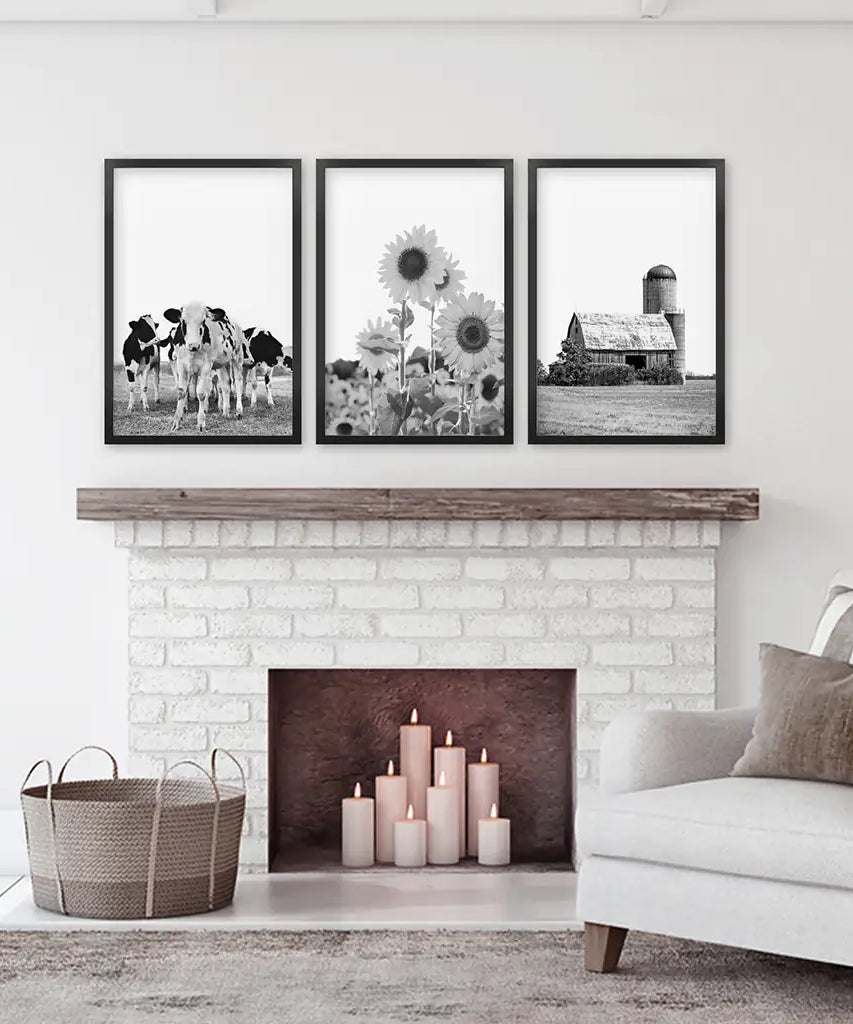 Rustic Black White Wall Art Set. Cows, Sunflowers, Old Barn