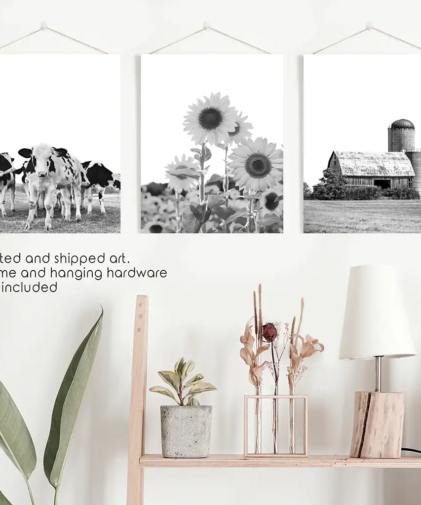 Rustic Black White Wall Art Set. Cows, Sunflowers, Old Barn