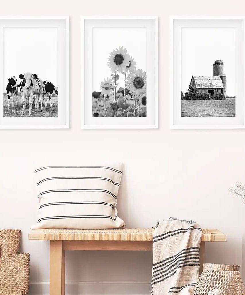 Rustic Black White Wall Art Set. Cows, Sunflowers, Old Barn