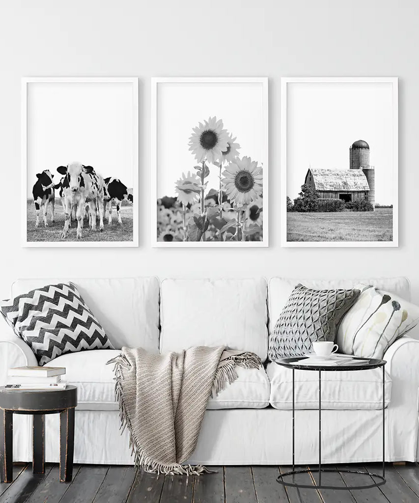 Rustic Black White Wall Art Set. Cows, Sunflowers, Old Barn