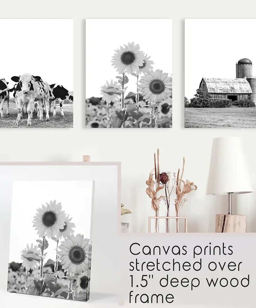 Rustic Black White Wall Art Set. Cows, Sunflowers, Old Barn