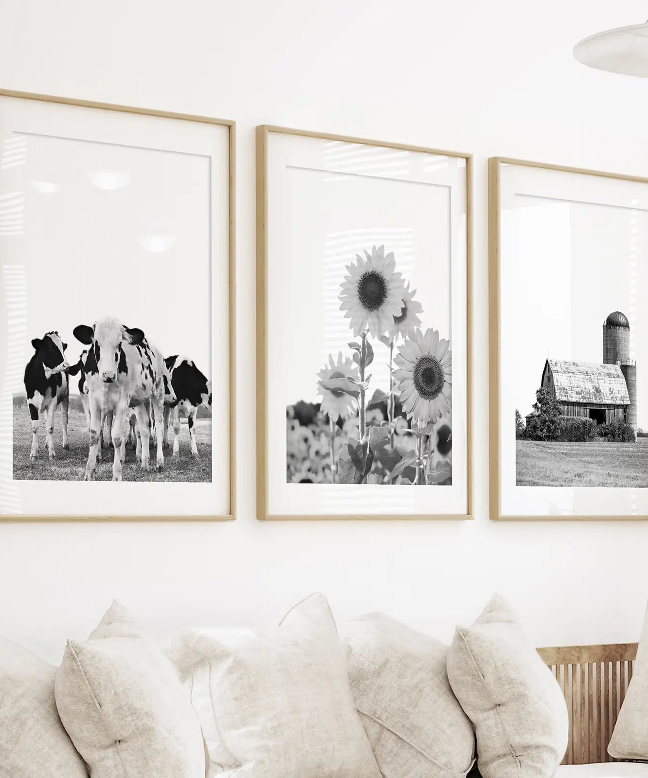 Rustic Black White Wall Art Set. Cows, Sunflowers, Old Barn