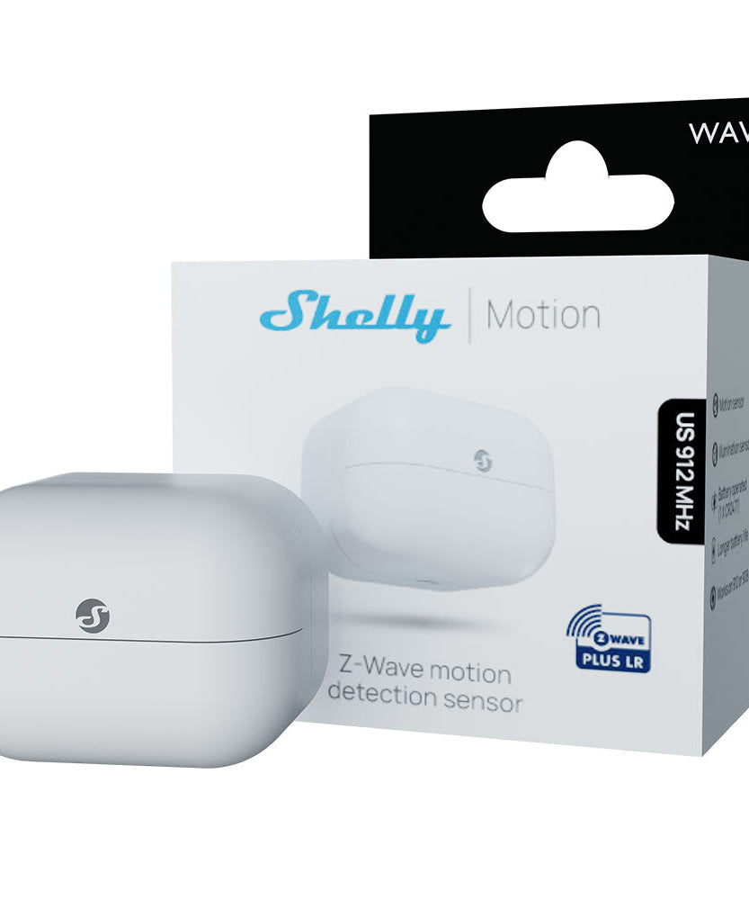 Shelly Wave Motion