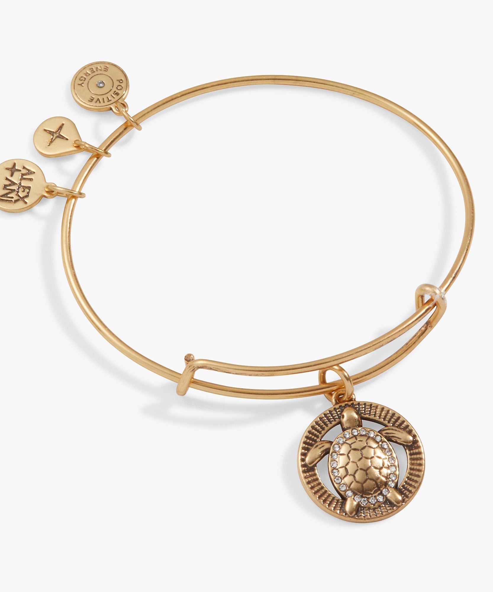 Turtle Charm Bangle