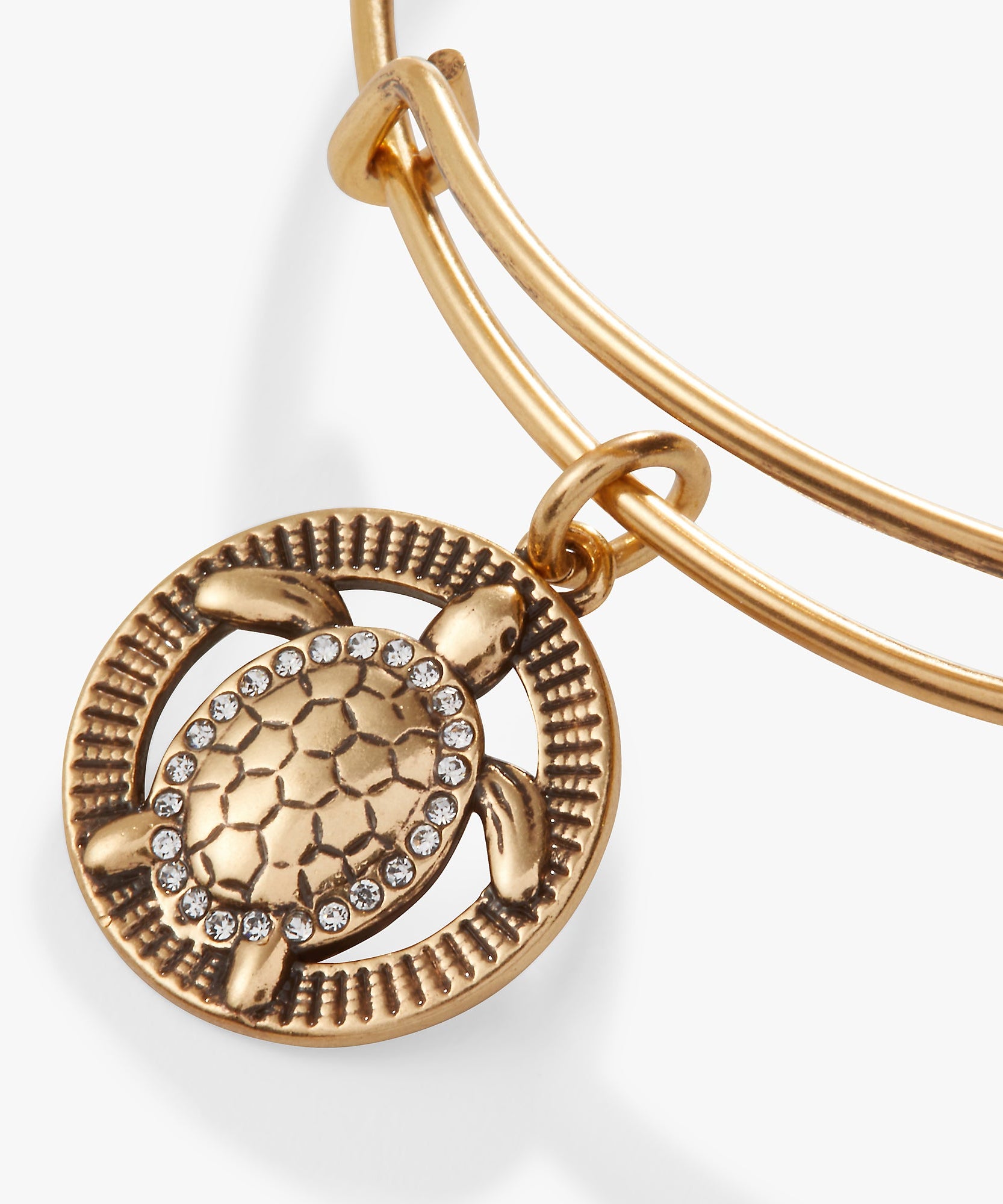 Turtle Charm Bangle