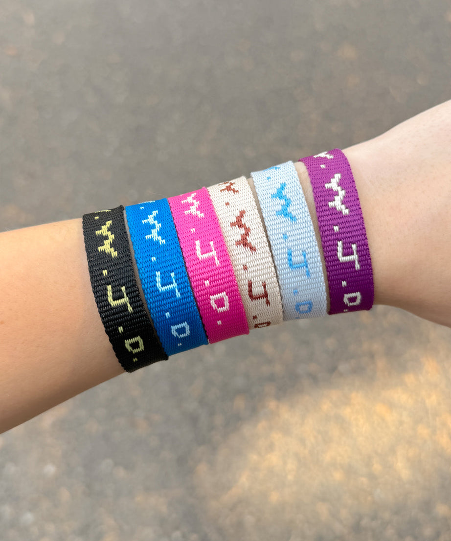 WWJD Cyber Bracelet Pack