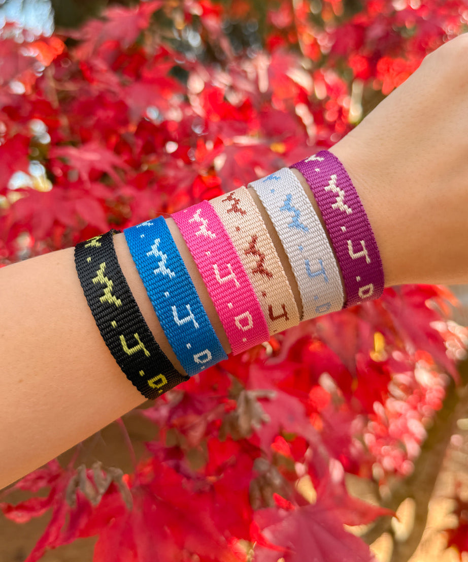WWJD Cyber Bracelet Pack