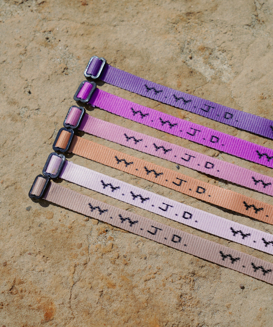 WWJD Paradise Bracelet Pack