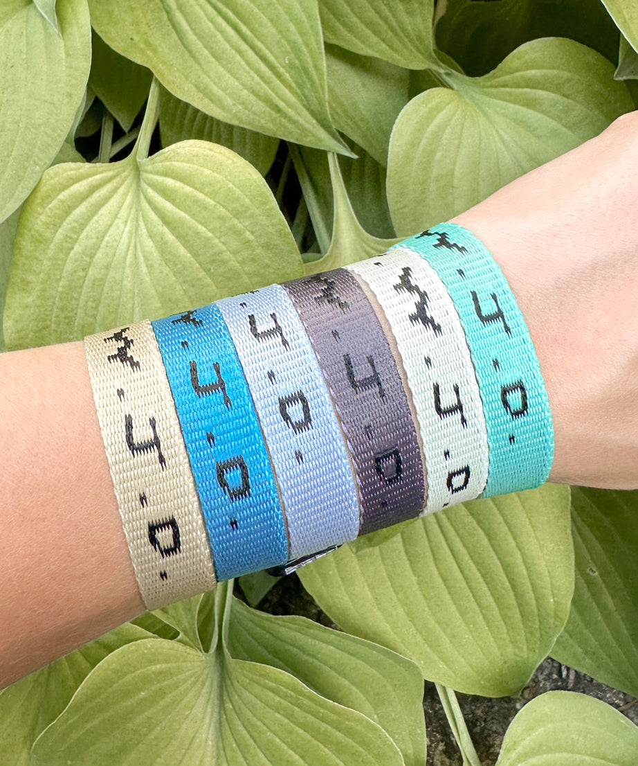 WWJD Surf Bracelet Pack
