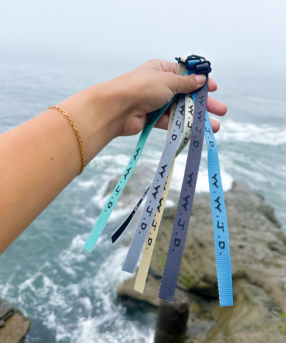 WWJD Surf Bracelet Pack