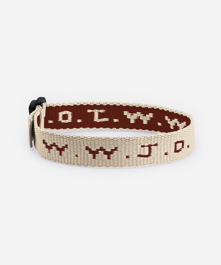 WWJD Cyber Bracelet Pack