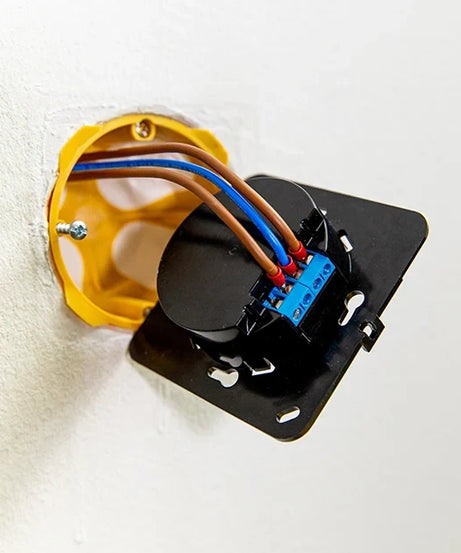 Shelly Wall Display Black+BLU H&T Black