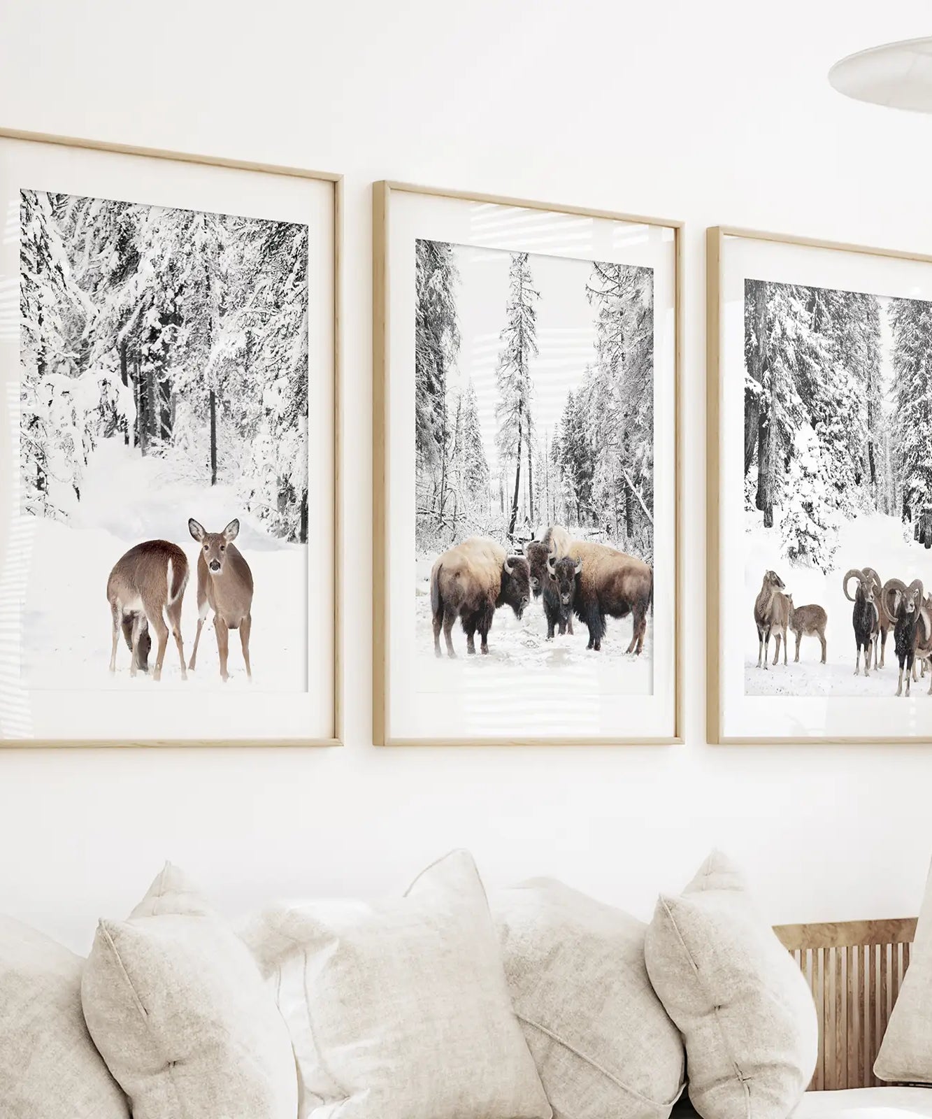 Wintertiere Wandbild Set mit 3. Büffel, Reh, Ziege