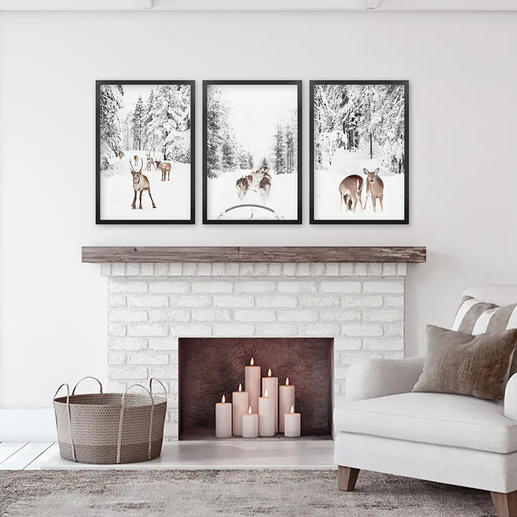 Winter Woodland Photo Set of 3. Fawn, Dog Sledding