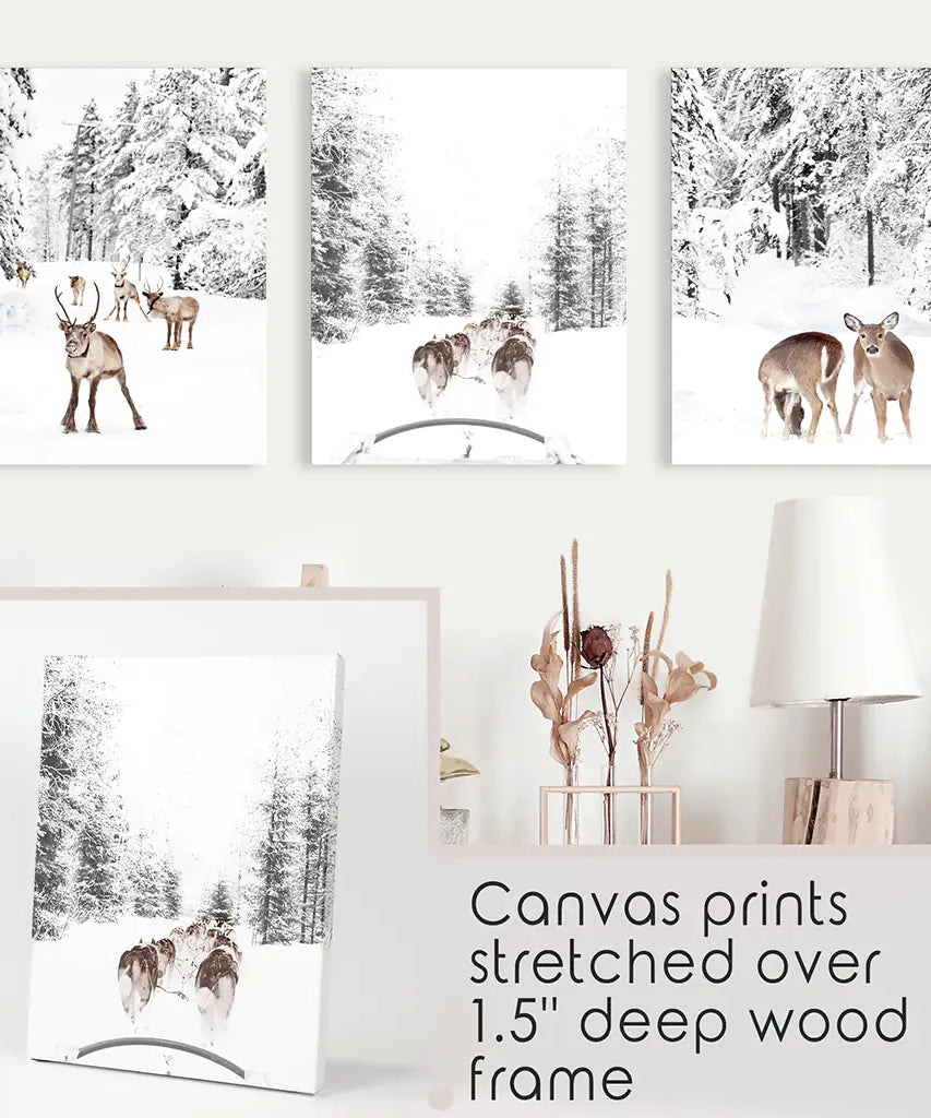 Winterlicher Wald Fotoset mit 3 Stück. Rehkitz, Hundeschlittenfahrt