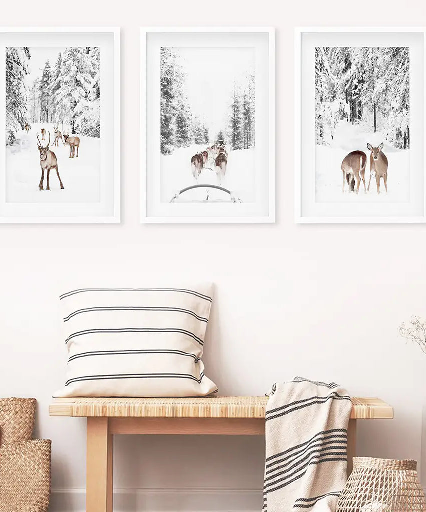 Winterlicher Wald Fotoset mit 3 Stück. Rehkitz, Hundeschlittenfahrt