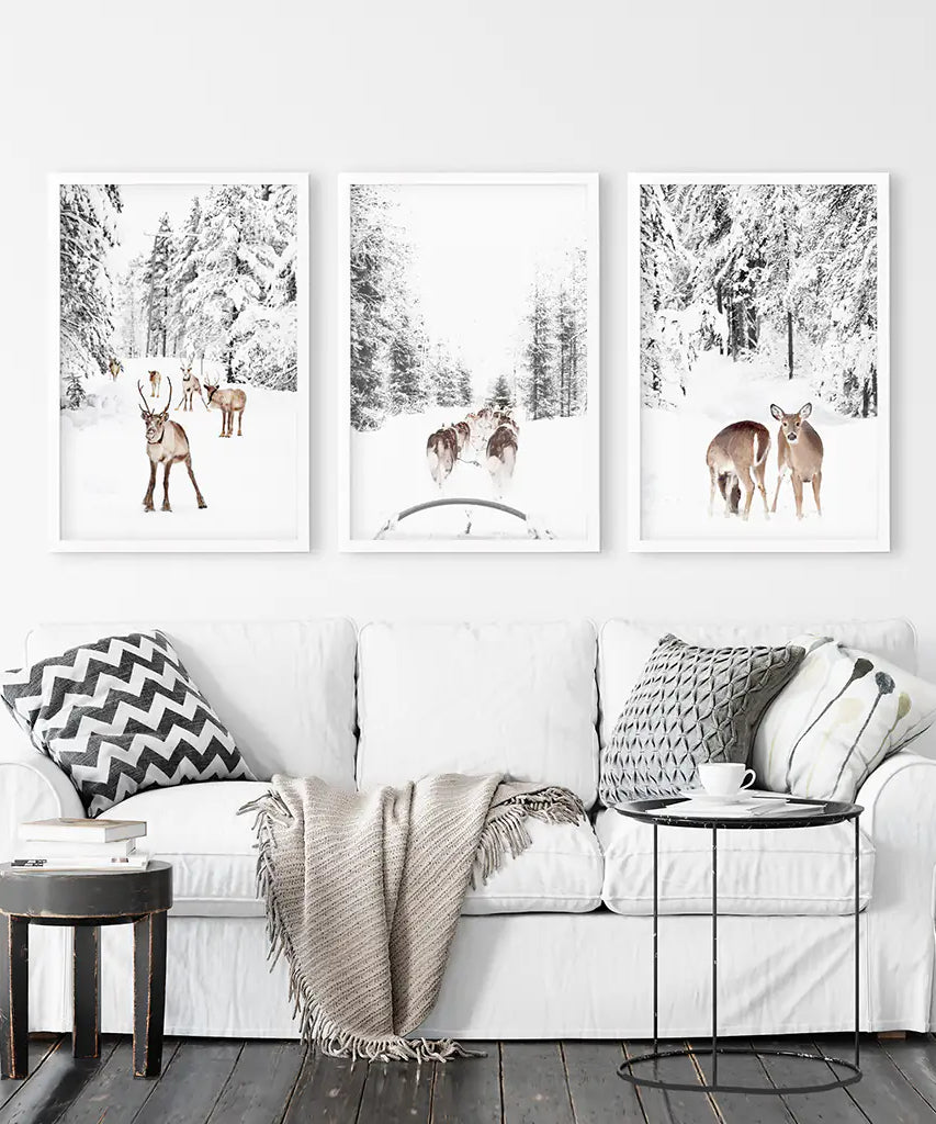 Winterlicher Wald Fotoset mit 3 Stück. Rehkitz, Hundeschlittenfahrt