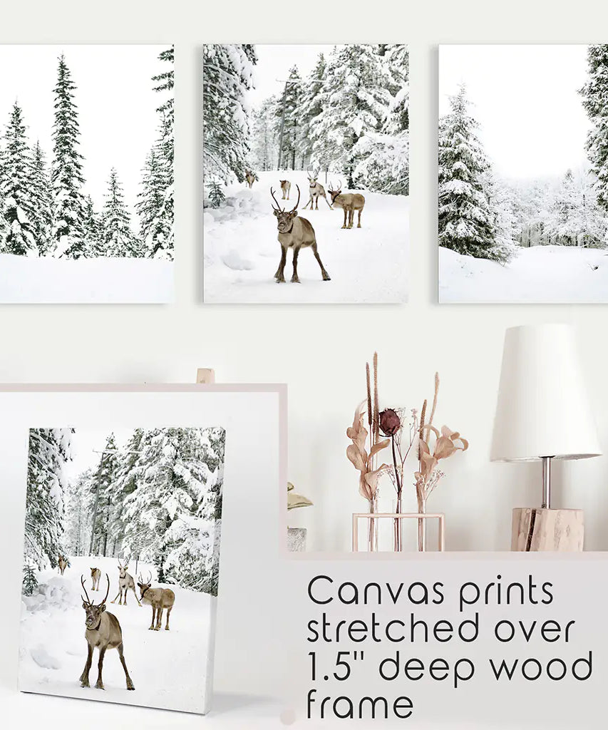 3-teiliges Winterlandschaft Wandbild. Verschneiter Kiefernwald, Kitz