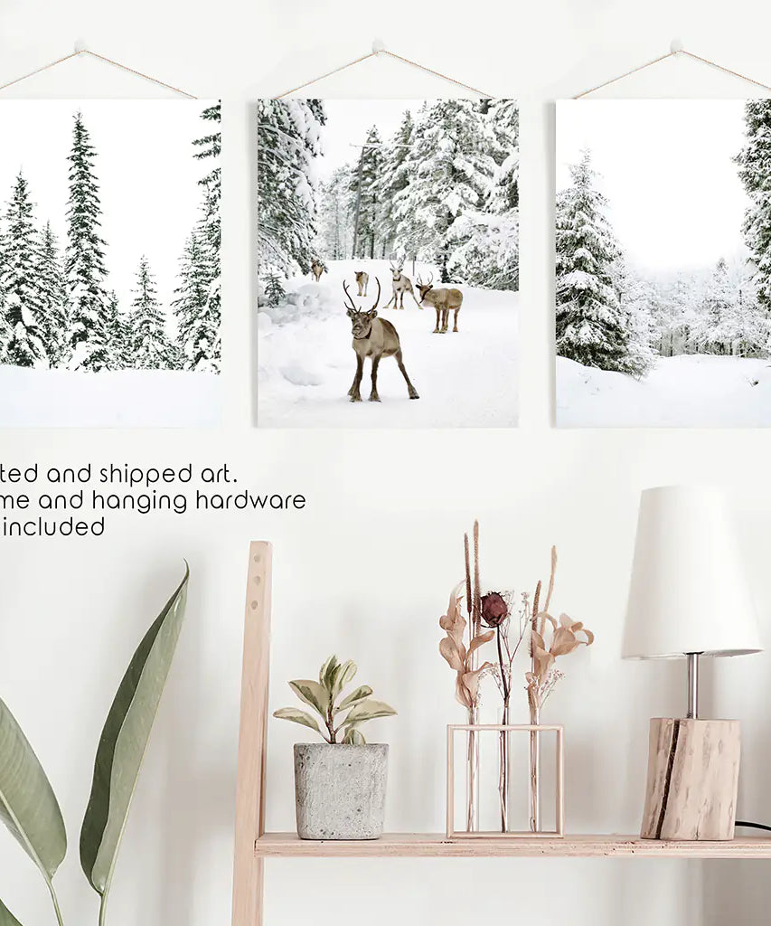 3-teiliges Winterlandschaft Wandbild. Verschneiter Kiefernwald, Kitz