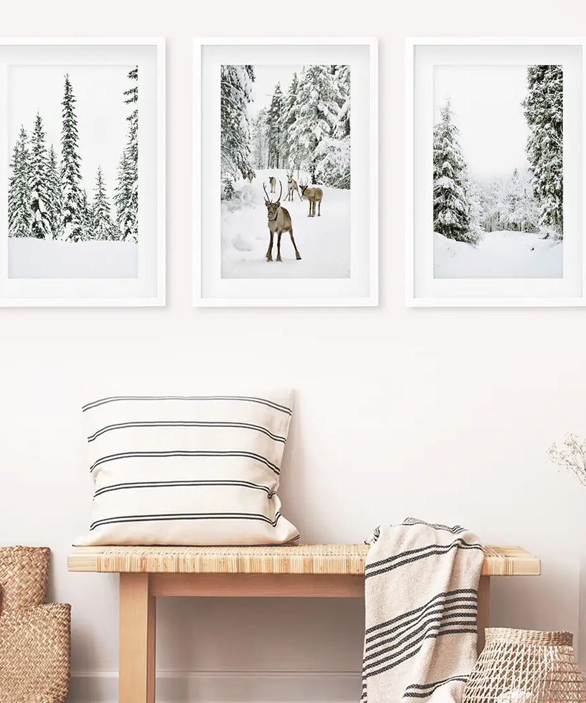 3-teiliges Winterlandschaft Wandbild. Verschneiter Kiefernwald, Kitz