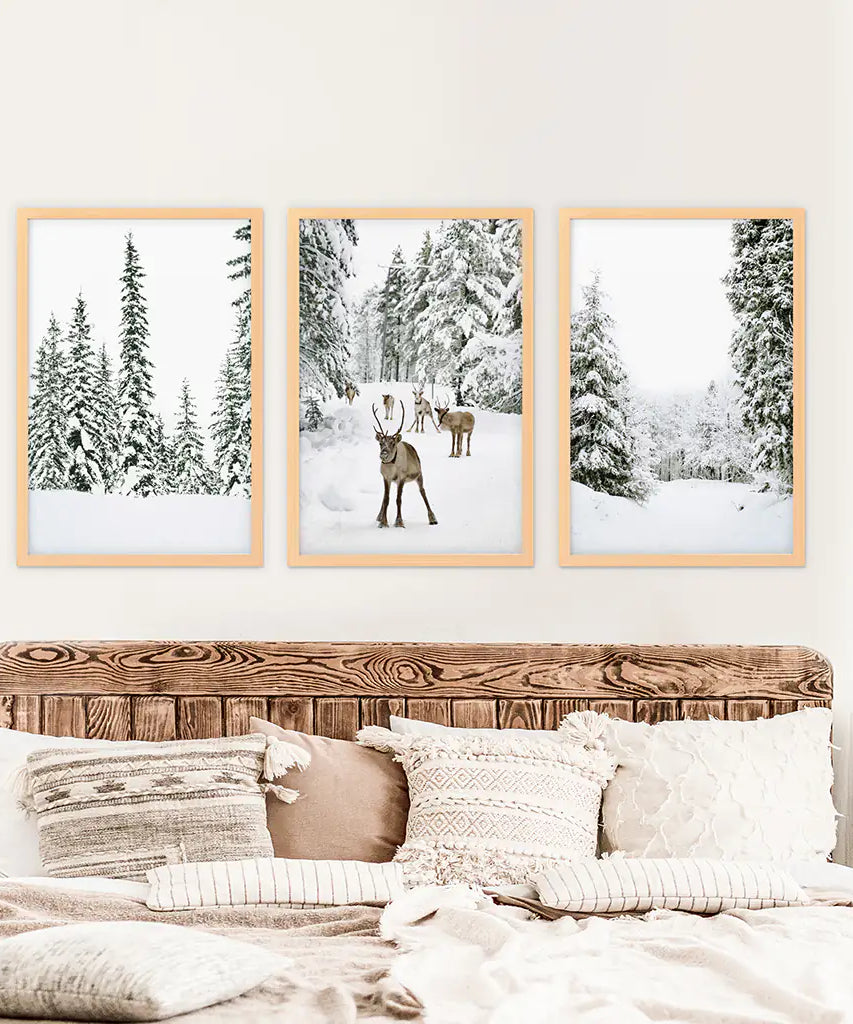 3-teiliges Winterlandschaft Wandbild. Verschneiter Kiefernwald, Kitz