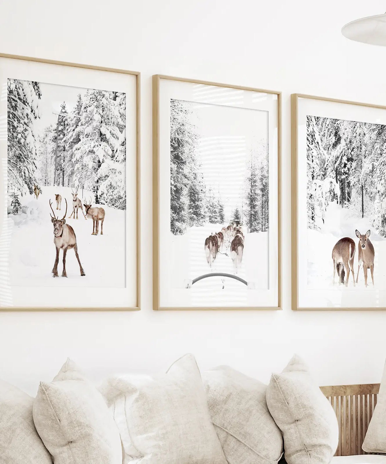 Winterlicher Wald Fotoset mit 3 Stück. Rehkitz, Hundeschlittenfahrt