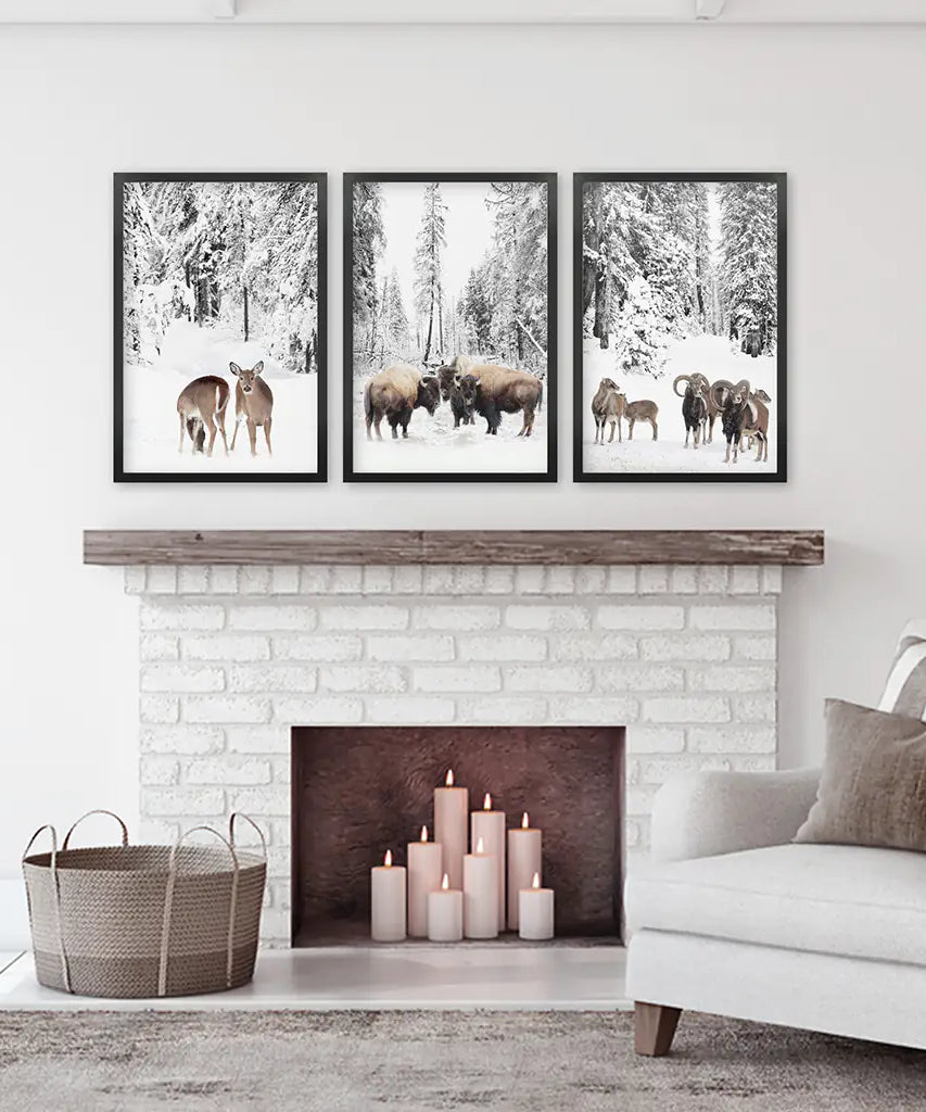 Wintertiere Wandbild Set mit 3. Büffel, Reh, Ziege