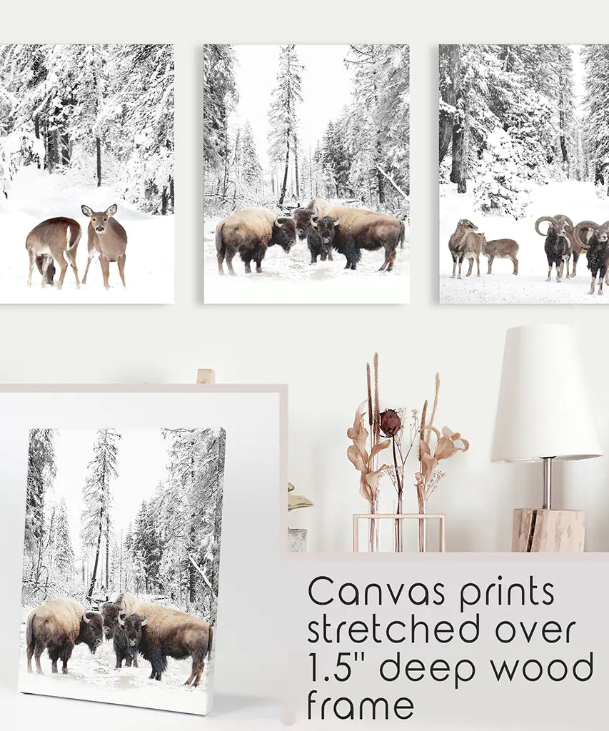 Wintertiere Wandbild Set mit 3. Büffel, Reh, Ziege