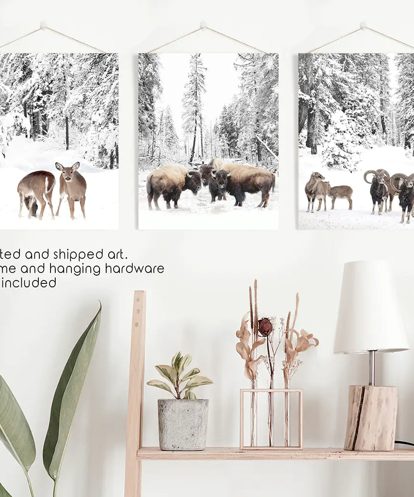 Wintertiere Wandbild Set mit 3. Büffel, Reh, Ziege