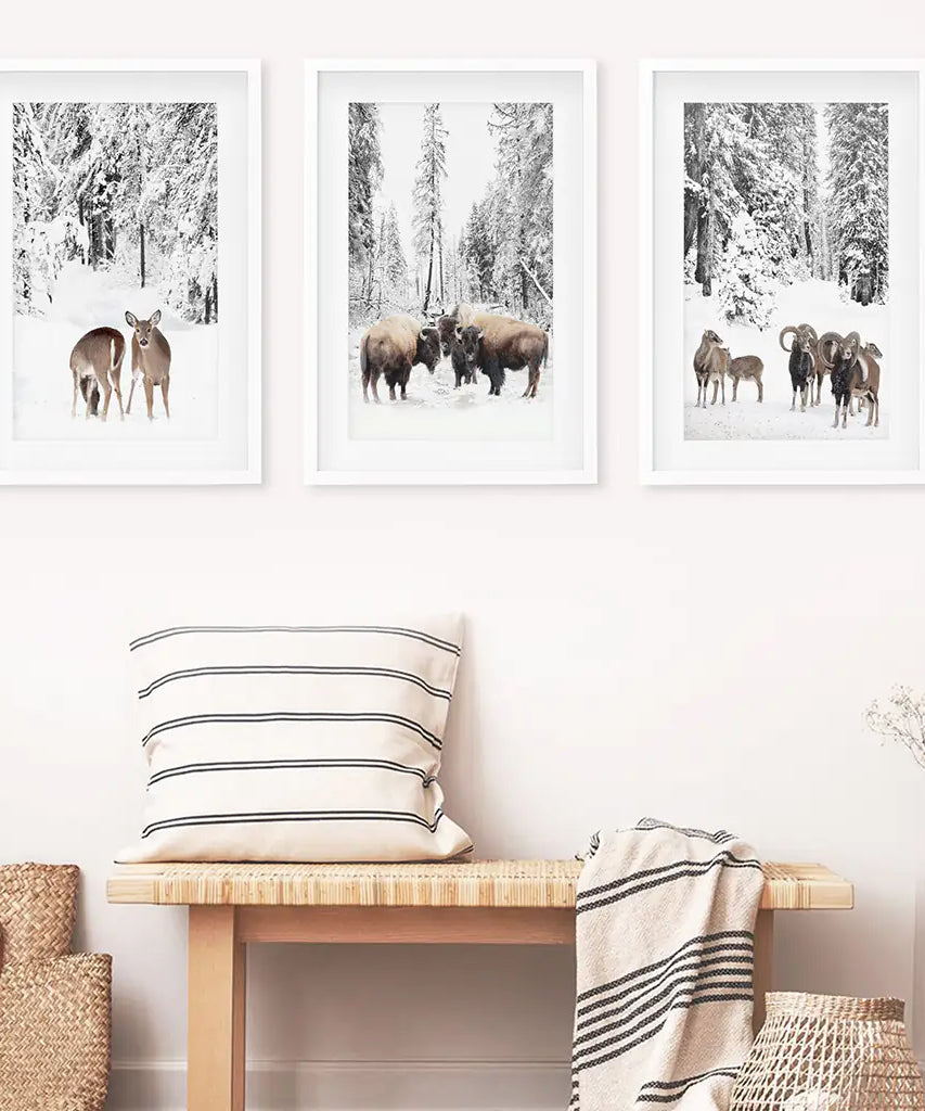 Wintertiere Wandbild Set mit 3. Büffel, Reh, Ziege