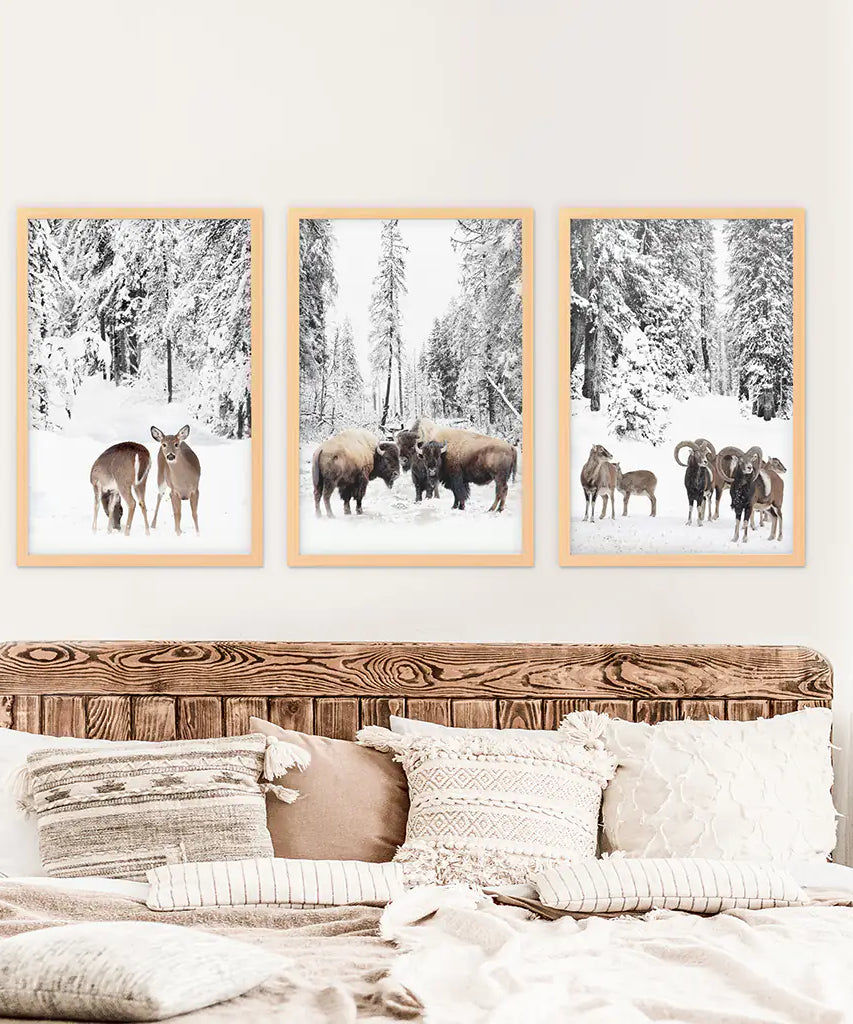 Wintertiere Wandbild Set mit 3. Büffel, Reh, Ziege