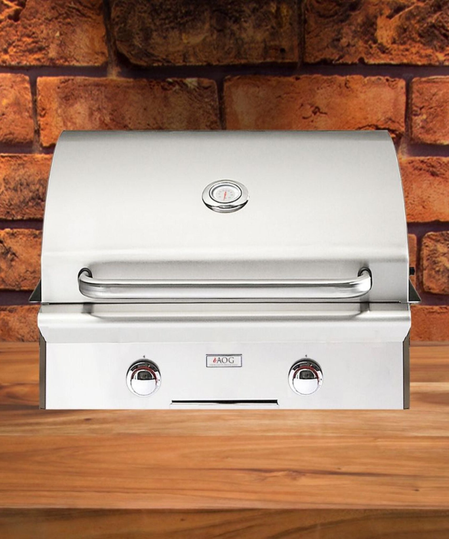American Outdoor Grill L-Series 24-Inch 2-Burner Built-In Natural Gas Grill [24NBL-00SP] (SAK10834)
