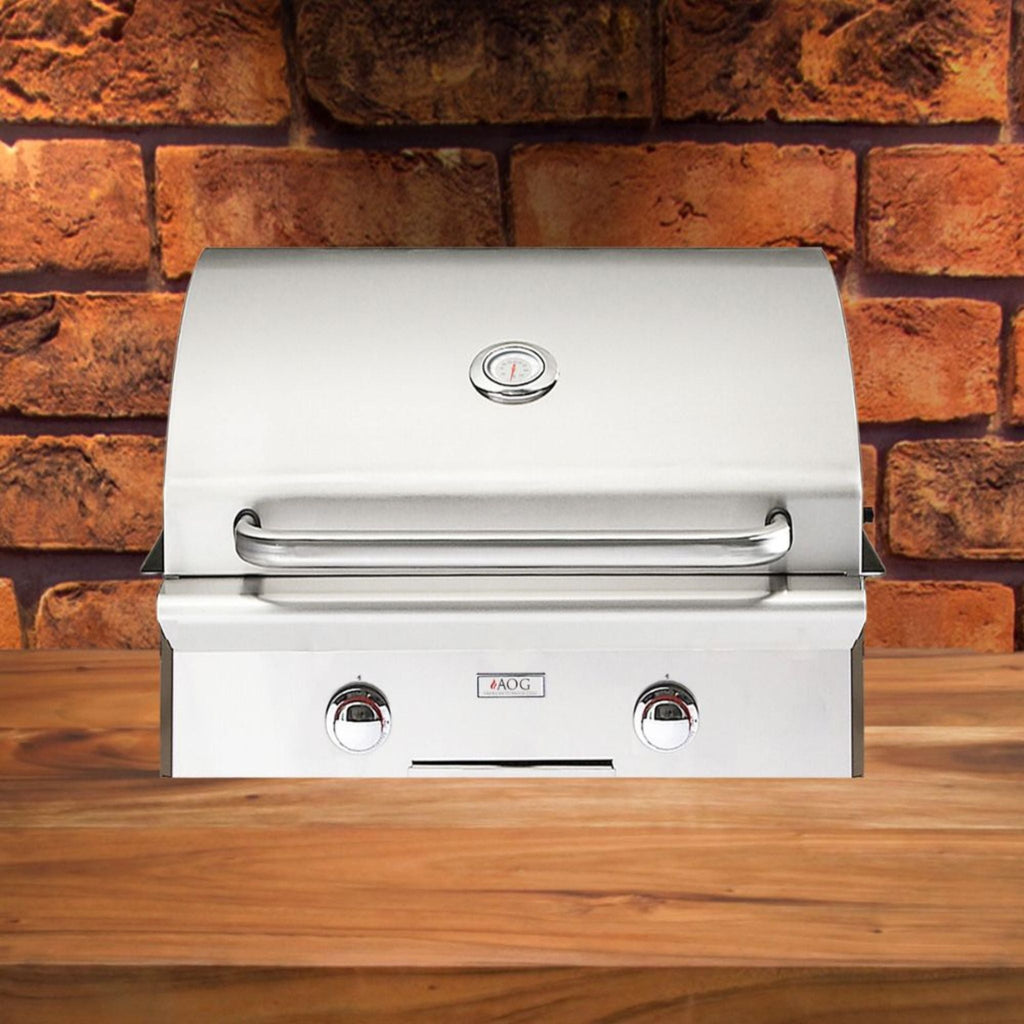 American Outdoor Grill L-Series 24-Inch 2-Burner Built-In Natural Gas Grill [24NBL-00SP] (SAK10834)